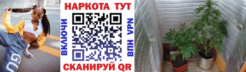 Купить наркотики Звенигово МАРИХУАНА Меф А ПВП Гашиш