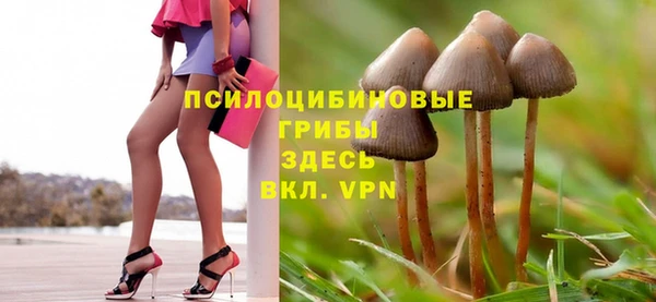 МДМА Заволжье