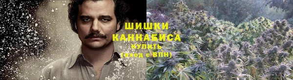 стафф Заволжск