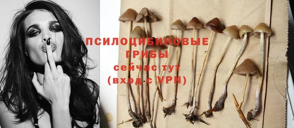 MDMA Premium VHQ Заводоуковск