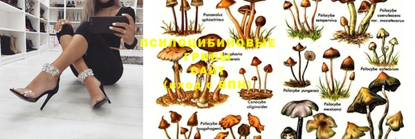 MDMA Premium VHQ Заводоуковск