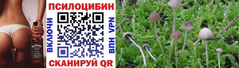 Галлюциногенные грибы GOLDEN TEACHER Звенигово